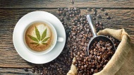Subculture Delta Beverages выпускает первый в мире холодный кофе на основе ТГК со стабильным сроком годности.