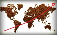 Новый отчет Circana показывает значительный рост потребления кофе в мире.