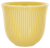 Чашка Loveramics Embossed Tasting Cup 250мл, цвет песочный C099-38BSA (2)